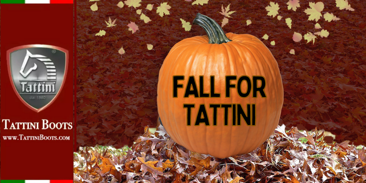 Tattini Boots Blog Fall for Tattini Italian English Dressage Riding Boot
